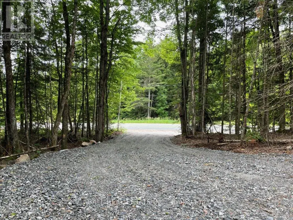 1350 Haliburton Lake Rd, Dysart et al (Dysart)